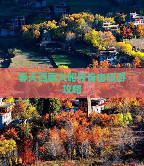 春天去西藏大昭寺自由团