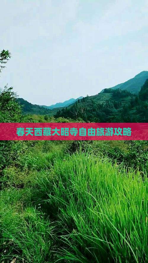 春天去西藏大昭寺自由团
