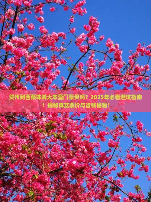 贺州到西藏珠峰大本营门票