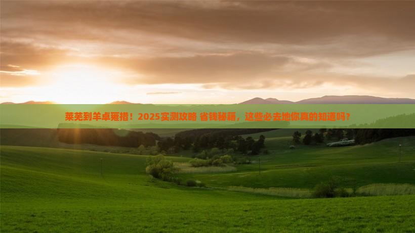 莱芜到西藏羊卓雍措必去地