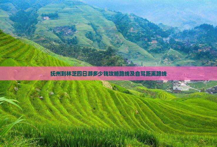 抚州到西藏林芝四日游