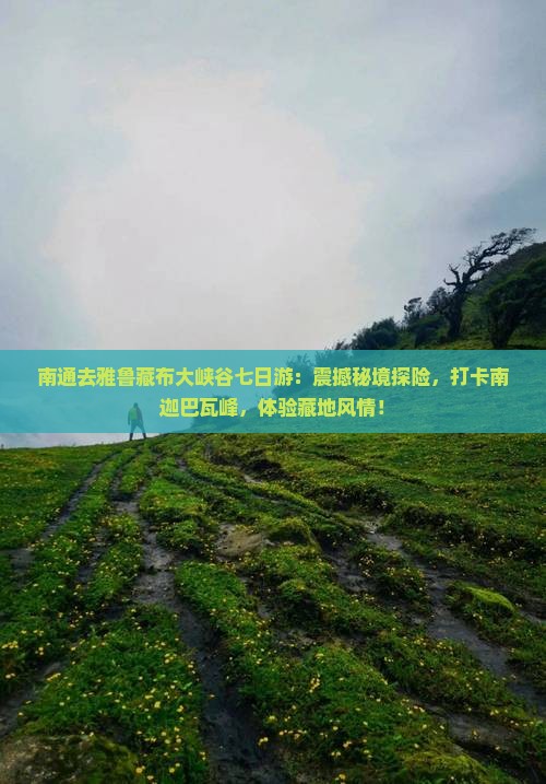 南通去西藏雅鲁藏布大峡谷七日游