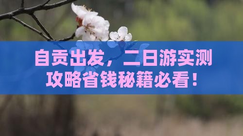 自贡去西藏二日游