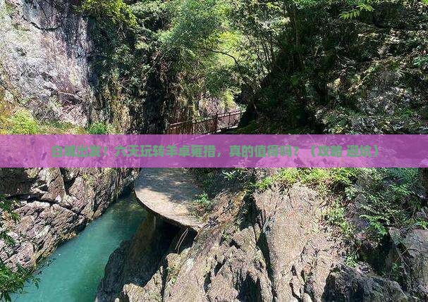 白城到西藏羊卓雍措六日游