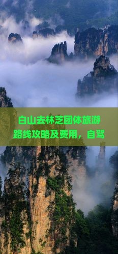白山去西藏林芝团体旅游