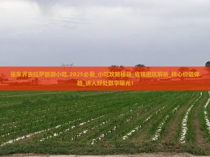 张家界去西藏拉萨旅游小吃