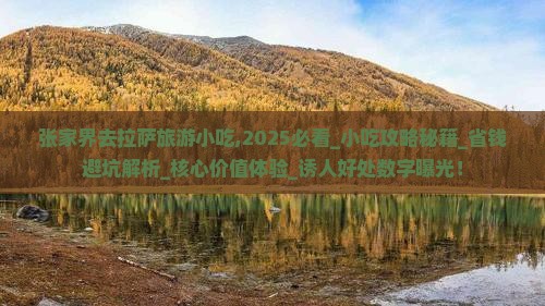 张家界去西藏拉萨旅游小吃