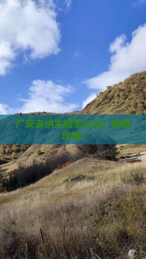 广安去西藏纳木措团体旅游