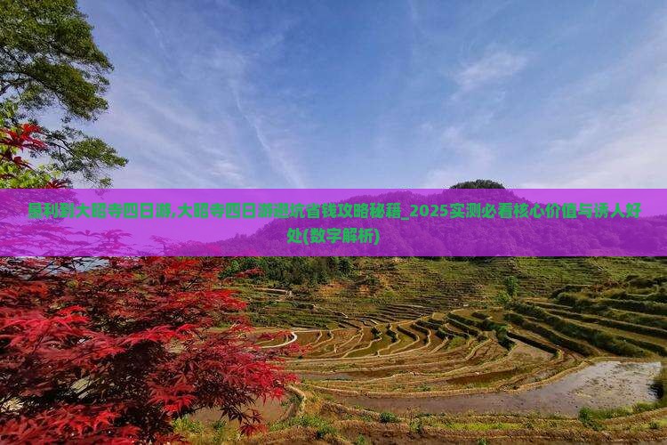 垦利到西藏大昭寺四日游