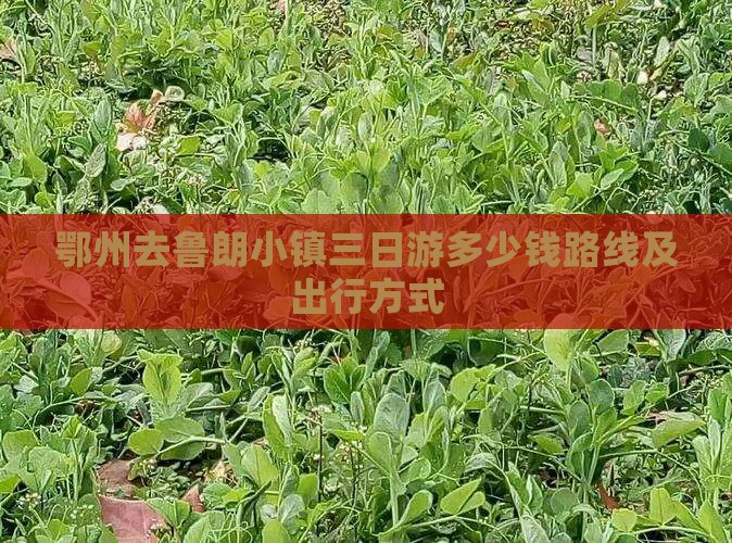 鄂州去西藏鲁朗小镇三日游