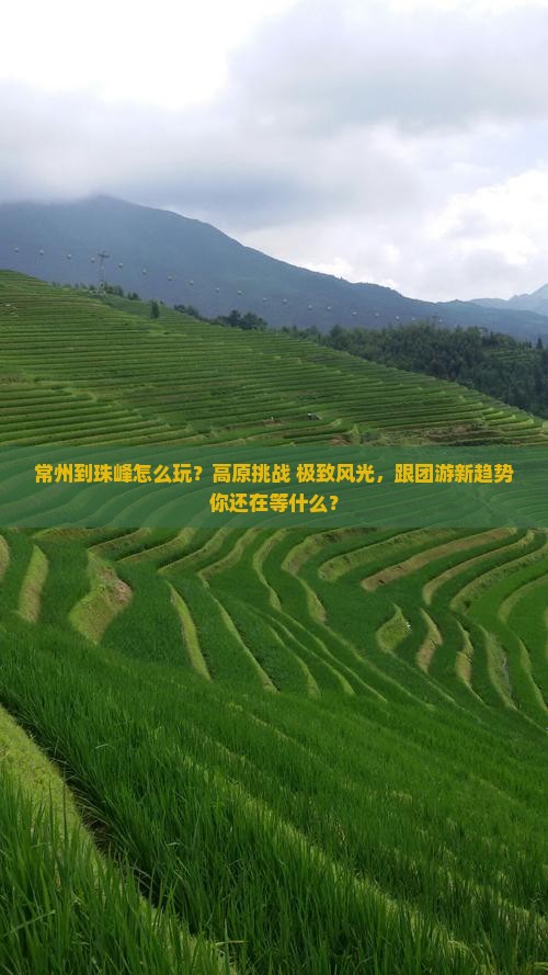 常州到西藏珠峰大本营团体旅游