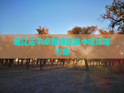 通辽去西藏羊卓雍措旅游小吃