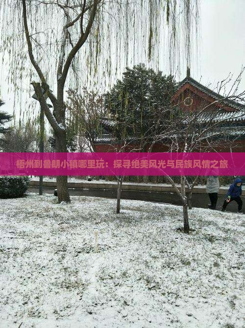 梧州到鲁朗小镇哪里玩：探寻绝美风光与民族风情之旅