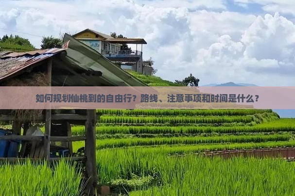 如何规划仙桃到的自由行？路线、注意事项和时间是什么？