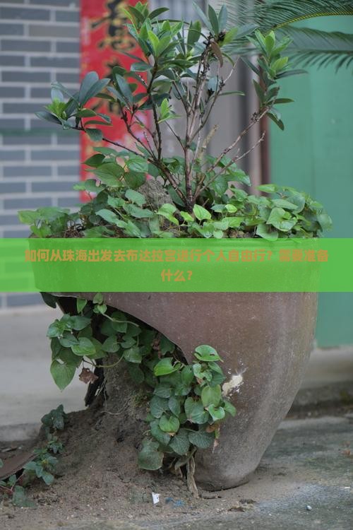 如何从珠海出发去布达拉宫进行个人自由行？需要准备什么？