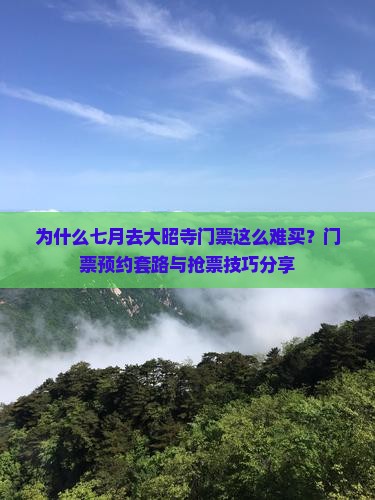 为什么七月去大昭寺门票这么难买？门票预约套路与抢票技巧分享