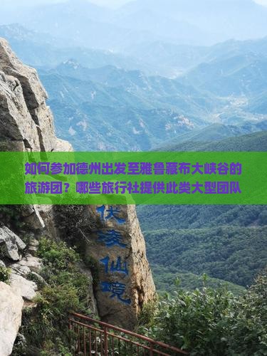 如何参加德州出发至雅鲁藏布大峡谷的旅游团？哪些旅行社提供此类大型团队游服务？