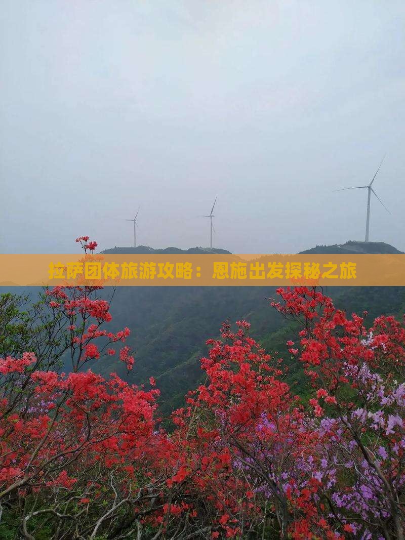 拉萨团体旅游攻略：恩施出发探秘之旅