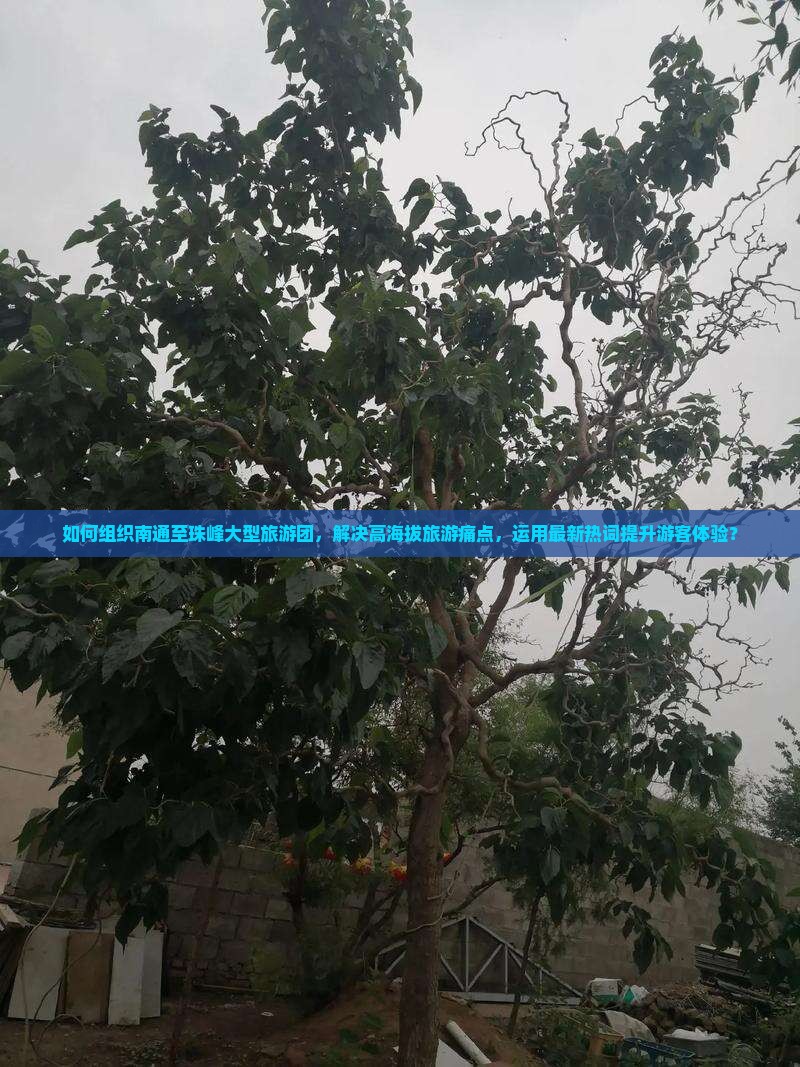 如何组织南通至珠峰大型旅游团，解决高海拔旅游痛点，运用最新热词提升游客体验？