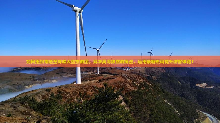 如何组织南通至珠峰大型旅游团，解决高海拔旅游痛点，运用最新热词提升游客体验？