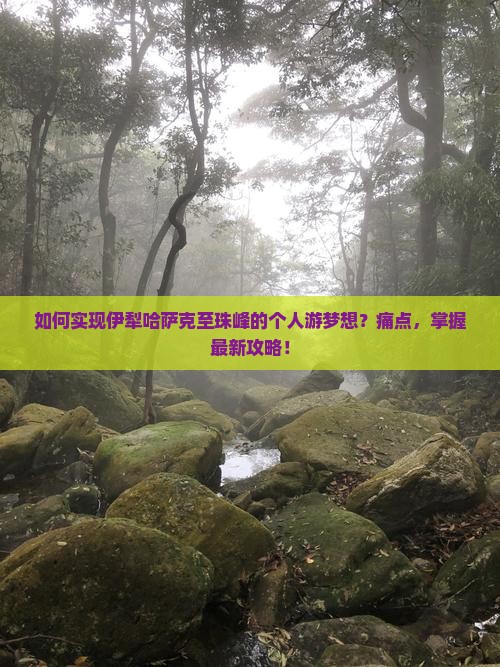 如何实现伊犁哈萨克至珠峰的个人游梦想？痛点，掌握最新攻略！
