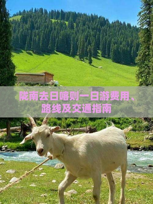 陇南去日喀则一日游费用、路线及交通指南