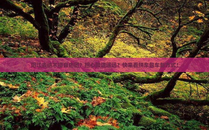 阳江去纳木措自由团？担心路途遥远？快来看拼车包车新方式！