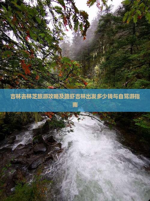 吉林去林芝旅游攻略及路虾吉林出发多少钱与自驾游指南