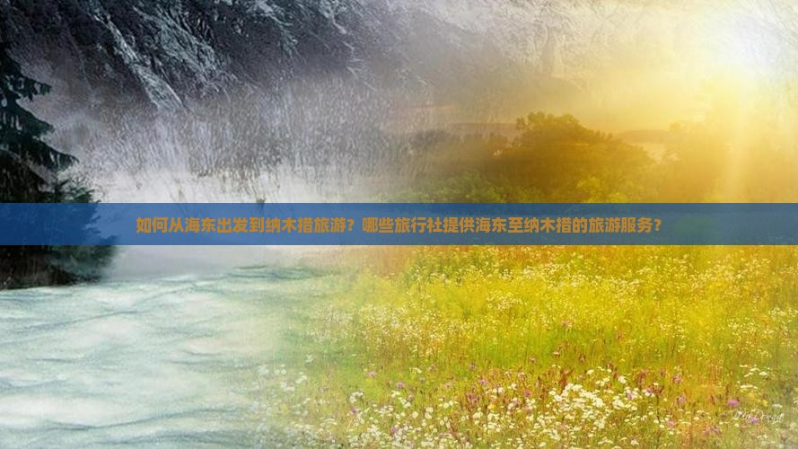 如何从海东出发到纳木措旅游？哪些旅行社提供海东至纳木措的旅游服务？