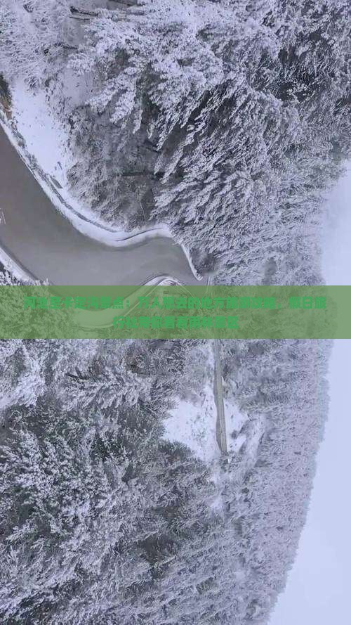 河池至卡定沟景点：万人想去的地方旅游攻略，假日旅行社带你看看雨林景区