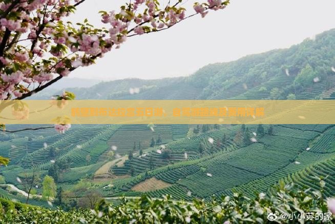 鹤壁到布达拉宫五日游，自驾游路线及费用详解