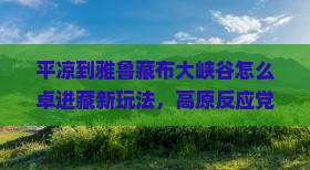平凉到雅鲁藏布大峡谷怎么卓进藏新玩法，高原反应党看过来！