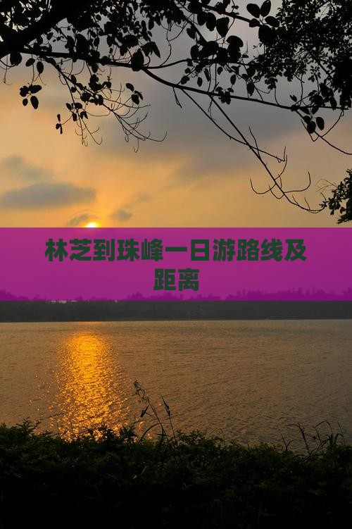 林芝到珠峰一日游路线及距离