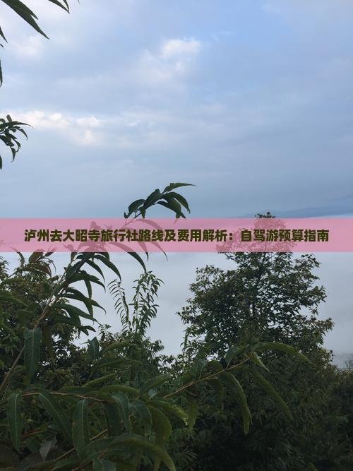 泸州去大昭寺旅行社路线及费用解析：自驾游预算指南