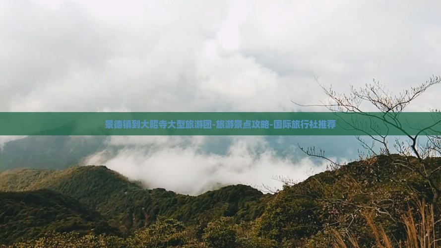 景德镇到大昭寺大型旅游团-旅游景点攻略-国际旅行社推荐