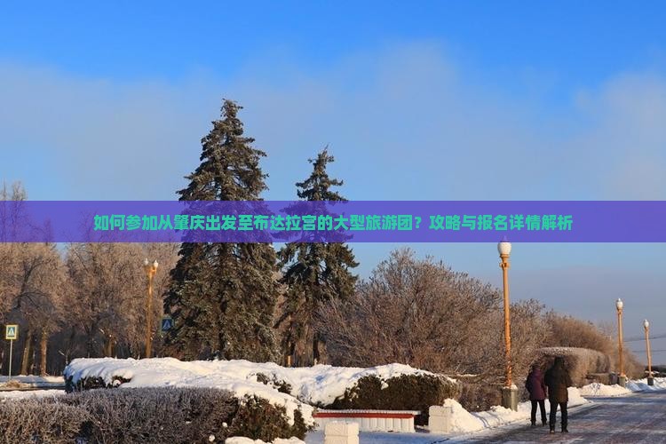 如何参加从肇庆出发至布达拉宫的大型旅游团？攻略与报名详情解析