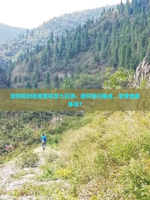 如何规划岳阳至林芝七日游，避开旅行痛点，享受地道体验？
