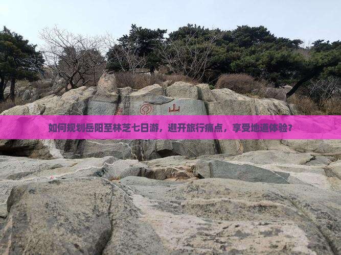 如何规划岳阳至林芝七日游，避开旅行痛点，享受地道体验？