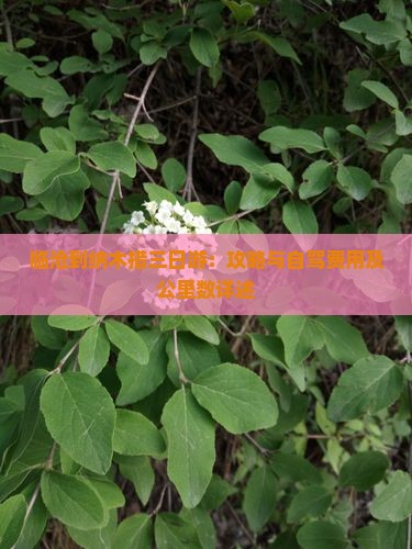 临沧到纳木措三日游:攻略与自驾费用及公里数详述 临沧到纳木措三日游:攻略与自驾费用及公里数详述
