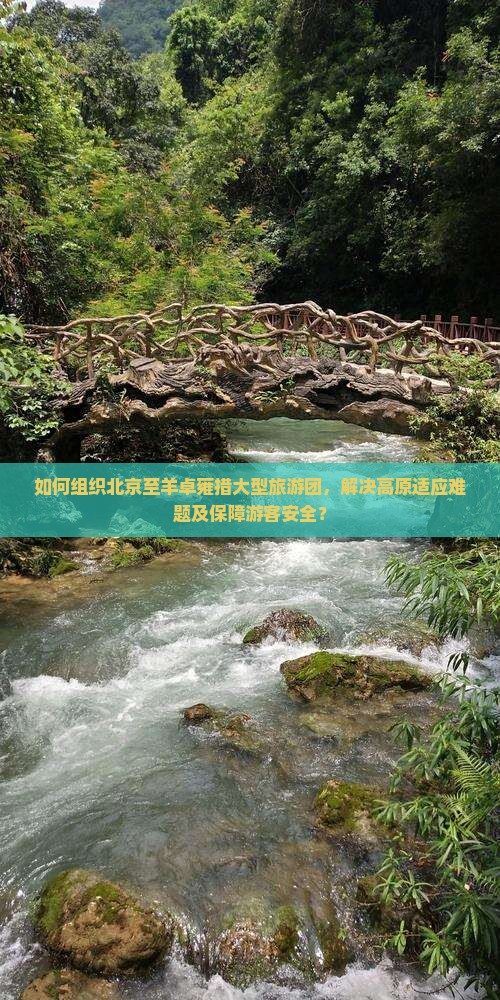 如何组织北京至羊卓雍措大型旅游团，解决高原适应难题及保障游客安全？