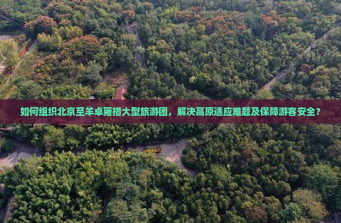 如何组织北京至羊卓雍措大型旅游团，解决高原适应难题及保障游客安全？