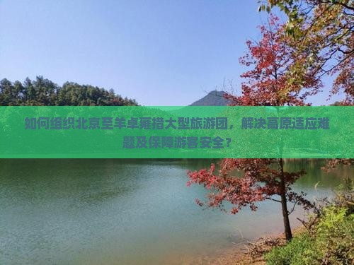 如何组织北京至羊卓雍措大型旅游团，解决高原适应难题及保障游客安全？