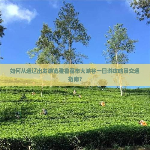 如何从通辽出发游览雅鲁藏布大峡谷一日游攻略及交通指南？