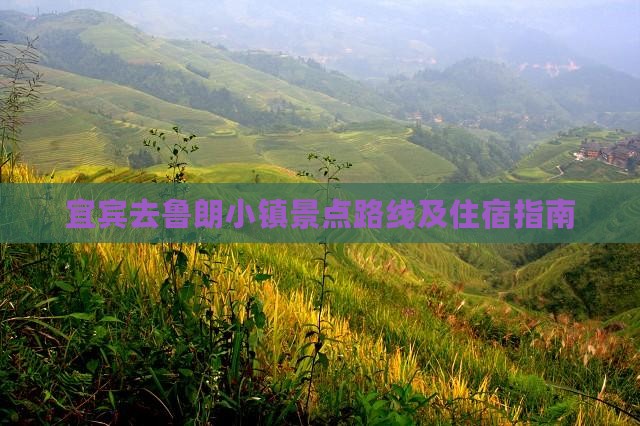 宜宾去鲁朗小镇景点路线及住宿指南