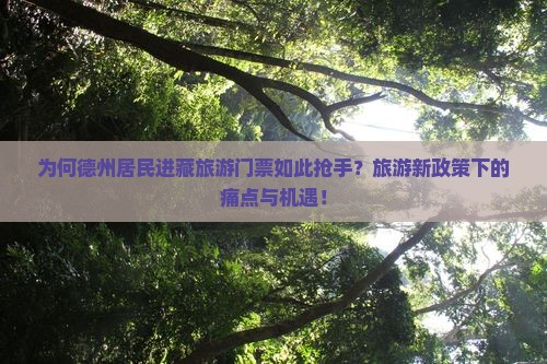 为何德州居民进藏旅游门票如此抢手？旅游新政策下的痛点与机遇！