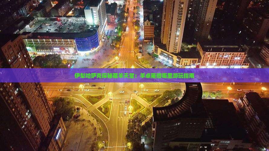 伊犁哈萨克探秘藏羊天堂：羊卓雍措哪里游玩指南