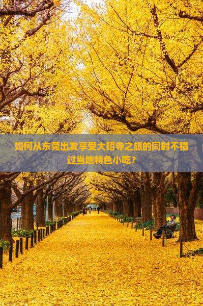 如何从东莞出发享受大昭寺之旅的同时不错过当地特色小吃？