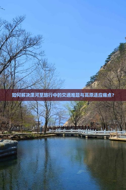 如何解决漯河至旅行中的交通难题与高原适应痛点？