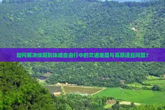 如何解决绵阳到珠峰自由行中的交通难题与高原适应问题？