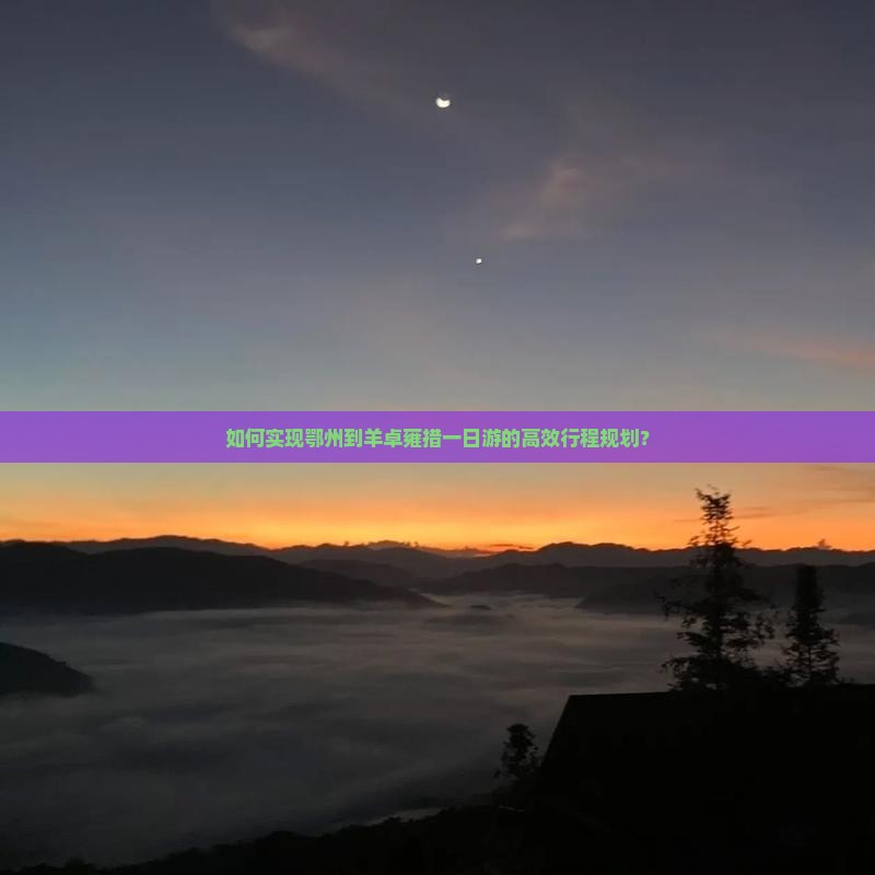 如何实现鄂州到羊卓雍措一日游的高效行程规划？